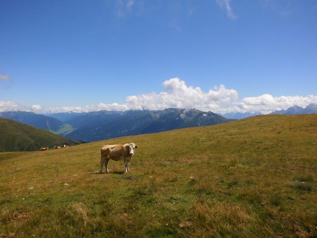 Apartmán Obergarberhof Sillian Pokoj fotografie